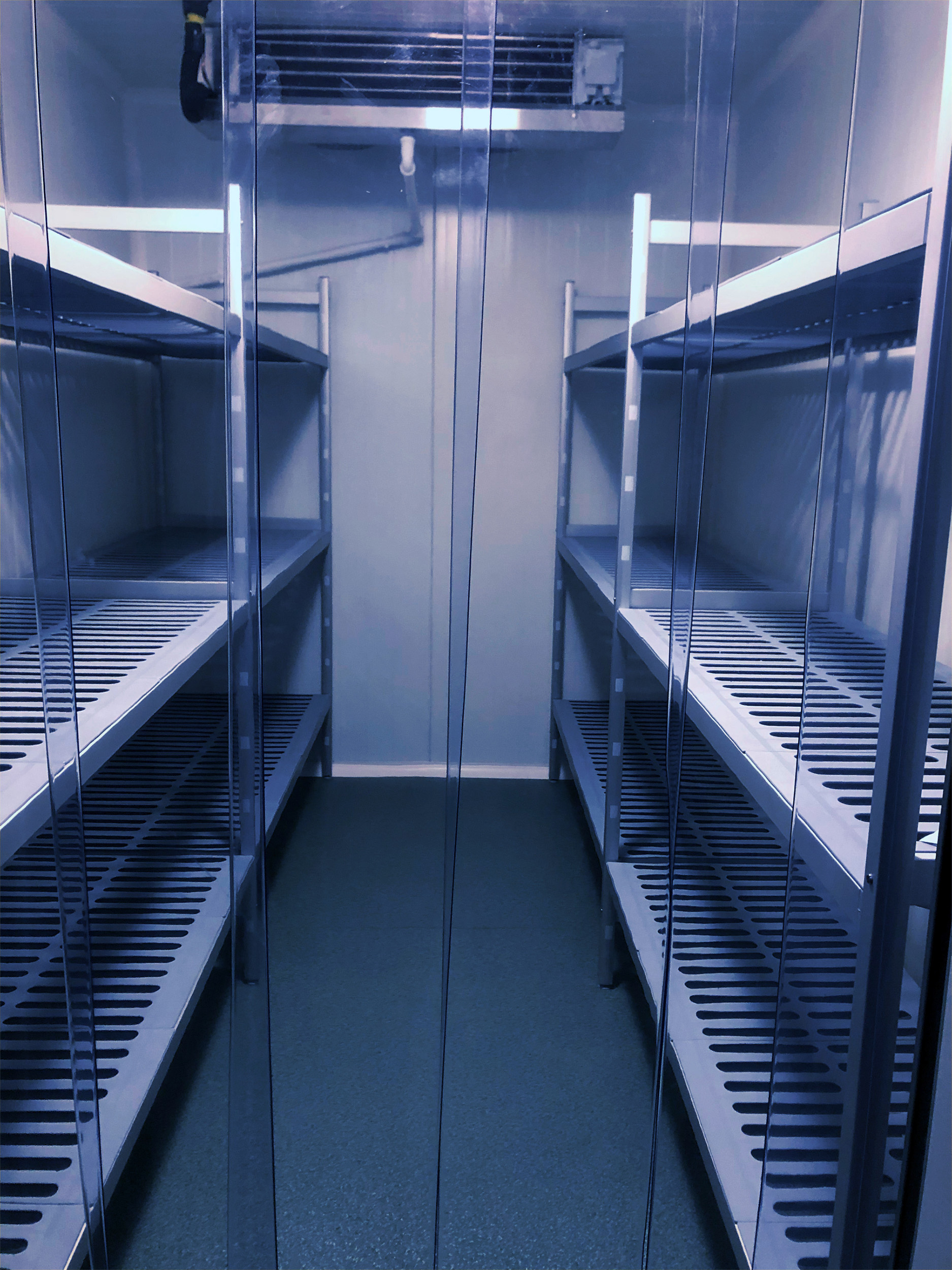 Walk-in Laboratory Cold Room - LNS
